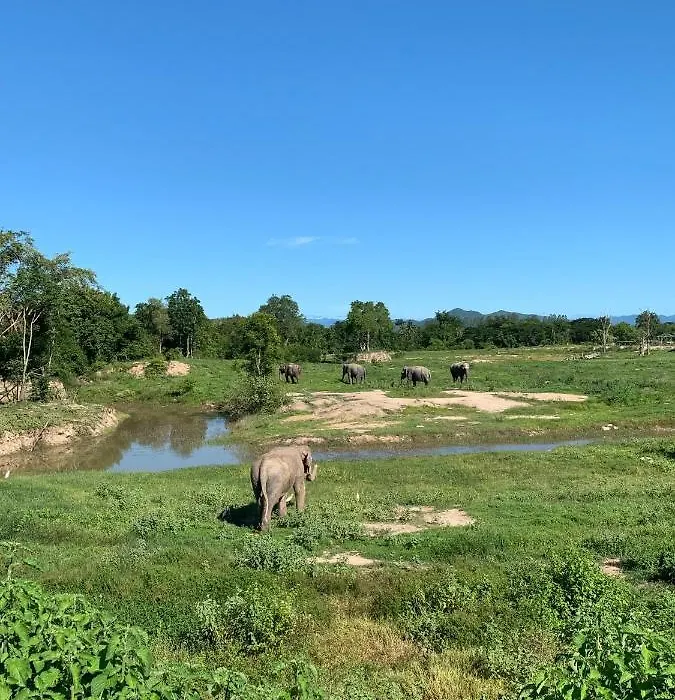 I Love Phants Lodge-1