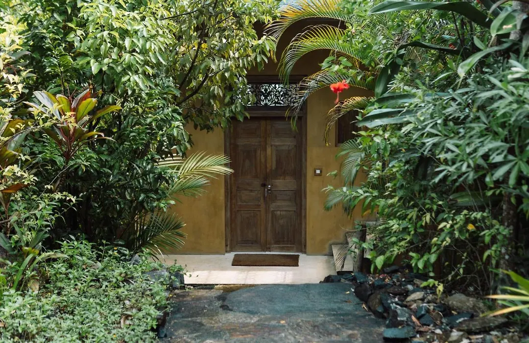 Malabar Hill-1