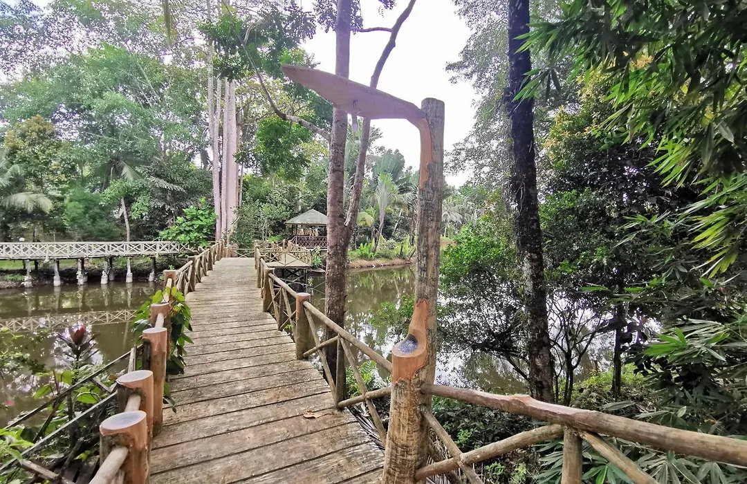Sepilok Jungle Resort-1