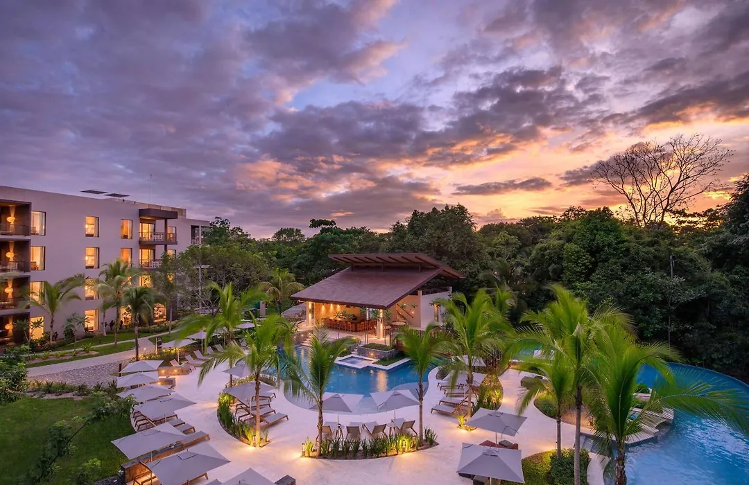 Botanika Osa Peninsula, Curio Collection By Hilton-1