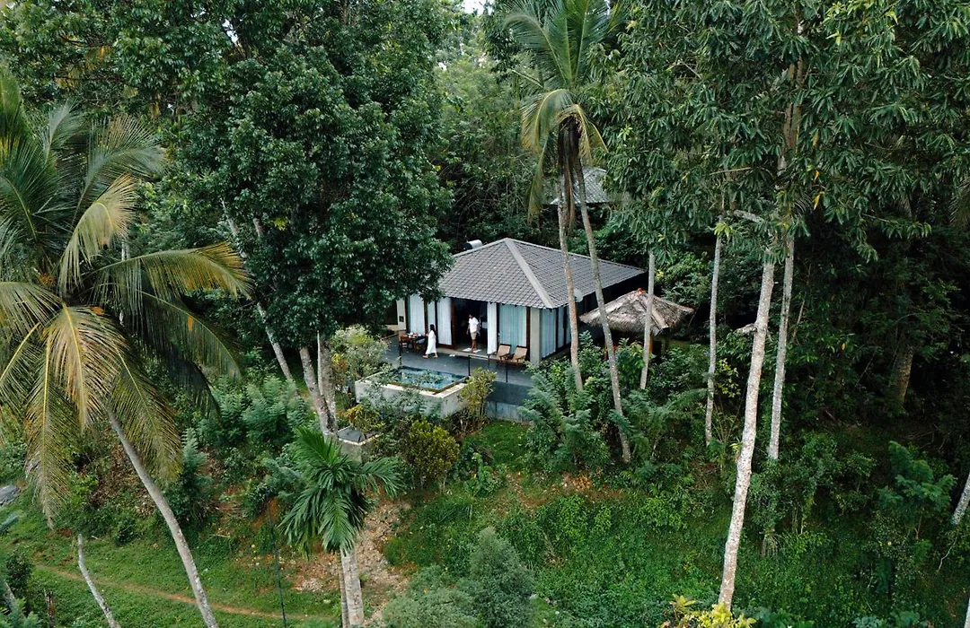 Aarunya Nature Resort - Kandy-1