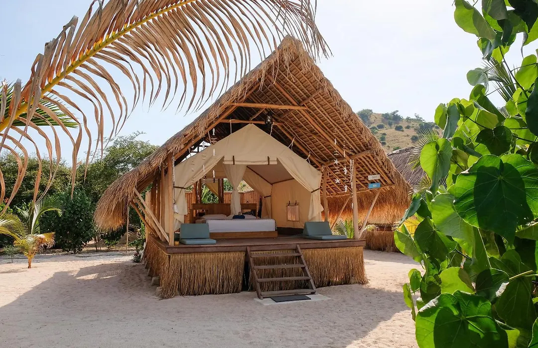 Le Pirate Island - Adults Only-1
