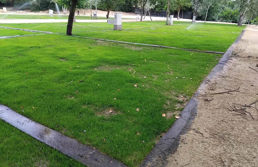 Complejo La Cigueena-1