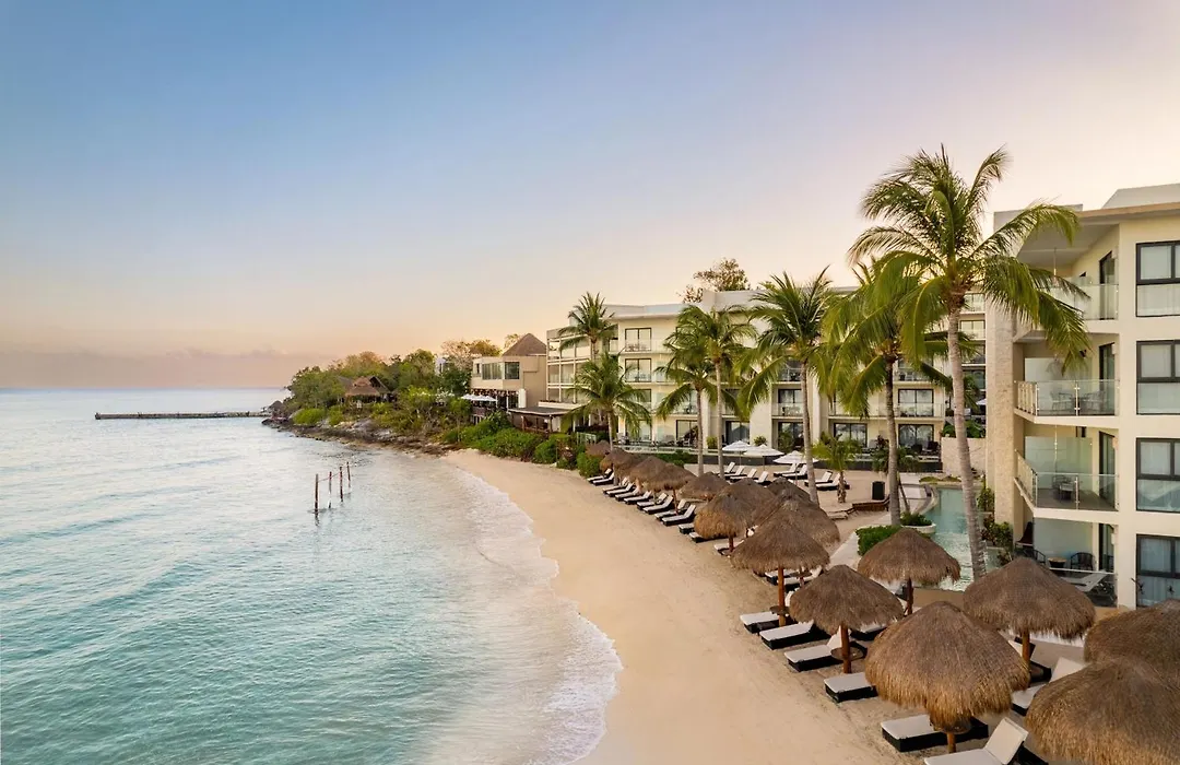 Dreams Cozumel Cape Resort & Spa-1