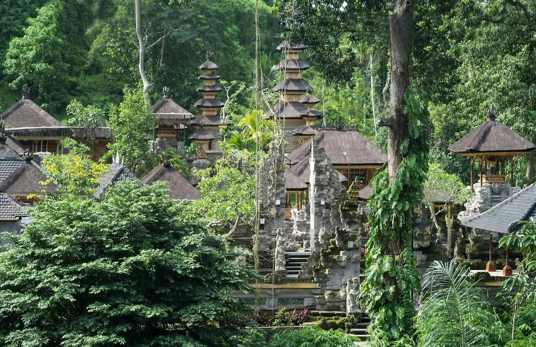 The Evitel Resort Ubud-1