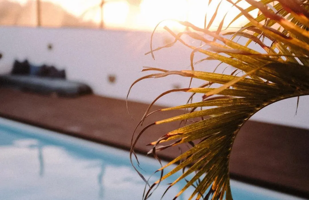 Surf & Yoga Retreats Fuerteventura-1