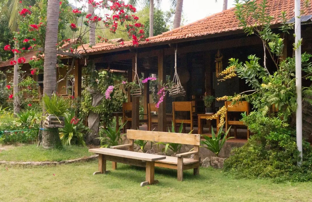 Mango Beach Resort-1