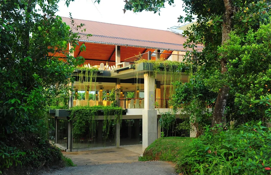 Kithul Kanda The Mountain Resort-1