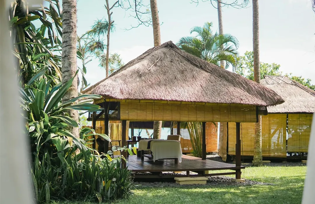 Alila Manggis-1