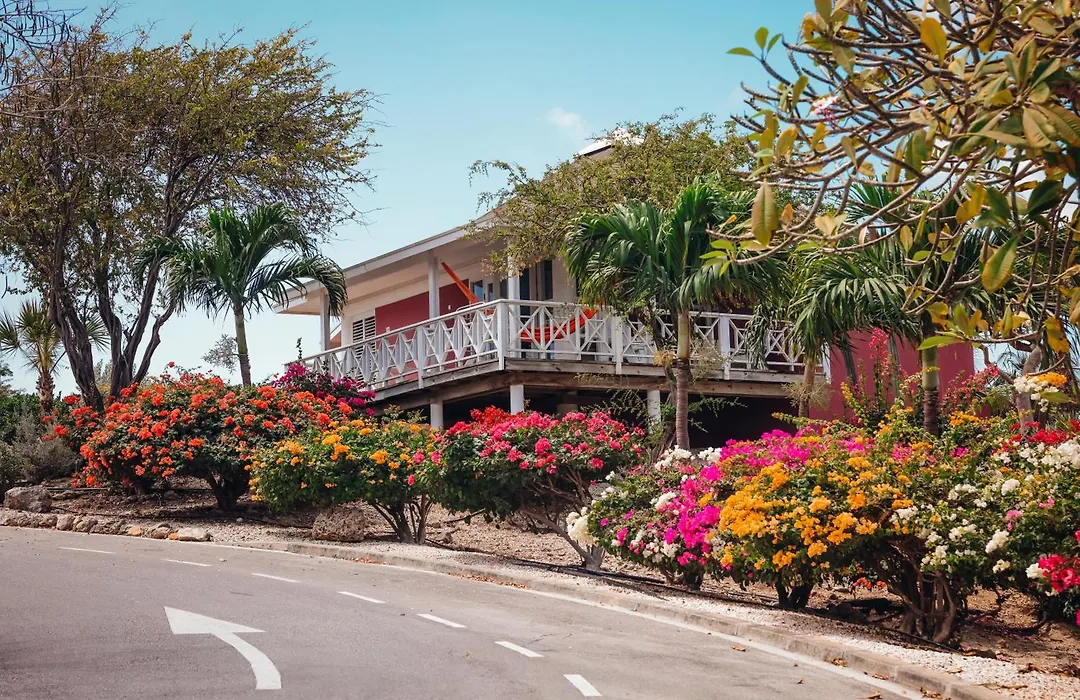 Chogogo Dive & Beach Resort Curacao-1