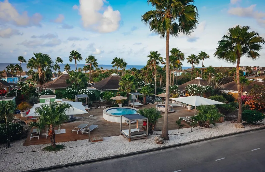 Chogogo Dive & Beach Resort Curacao-1