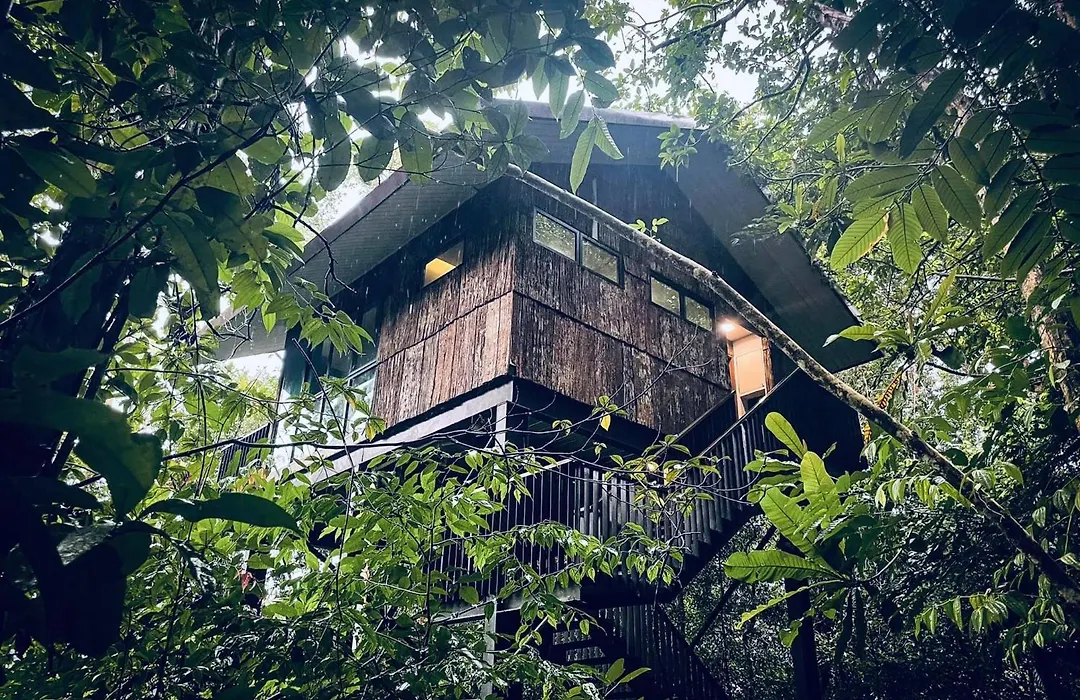 Permai Rainforest Resort-1