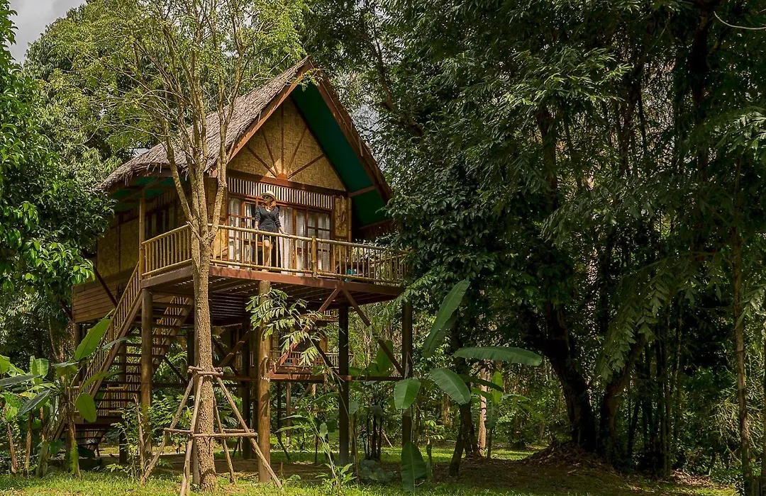 Our Jungle Camp-1