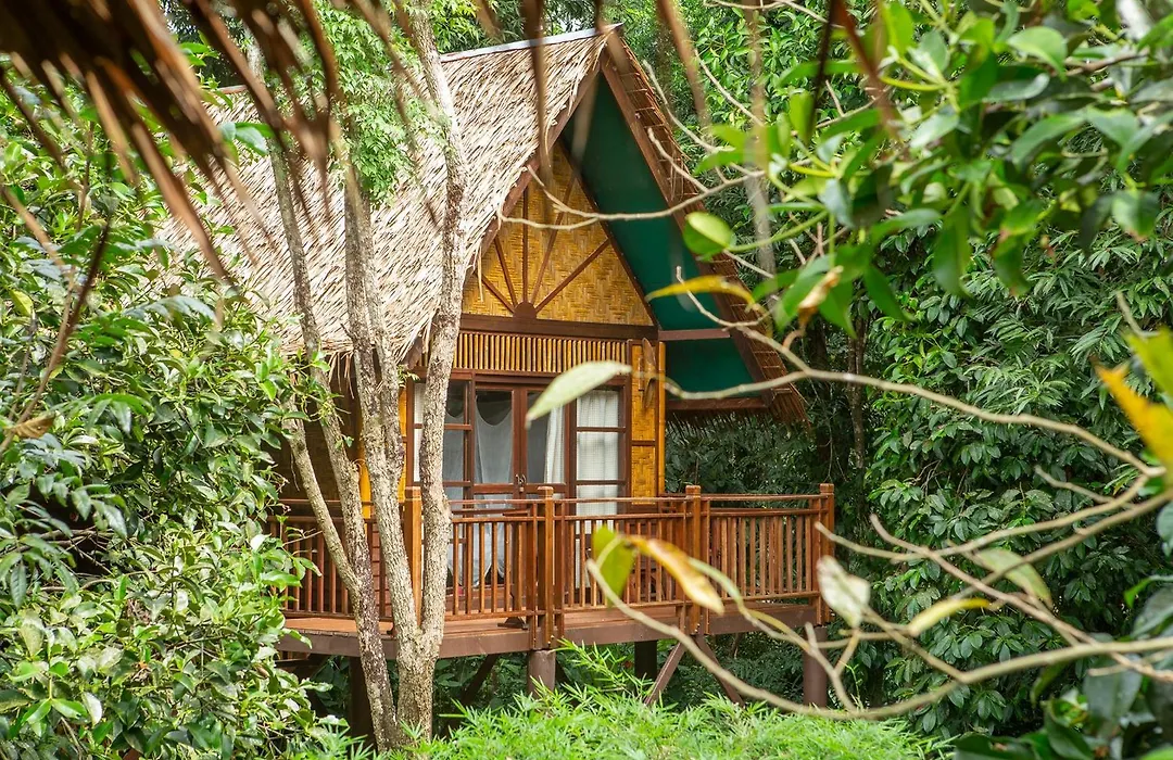 Our Jungle Camp-1
