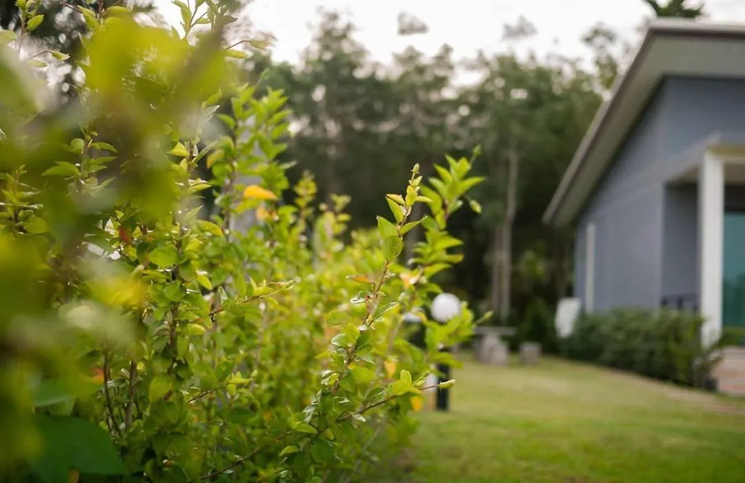 Moonlight Cottage-1