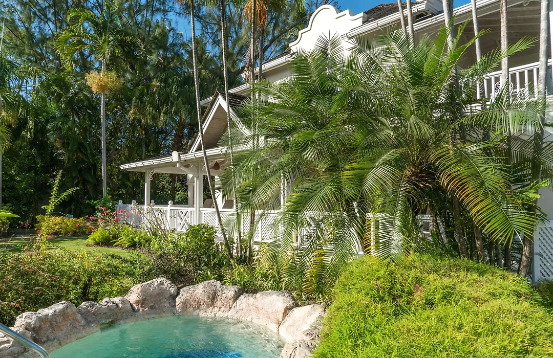 Coral Reef Club-1