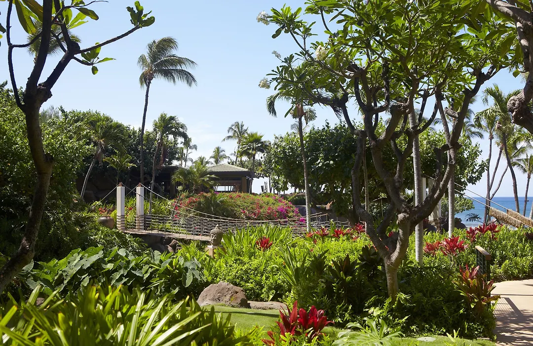 Hyatt Regency Maui Resort & Spa-1