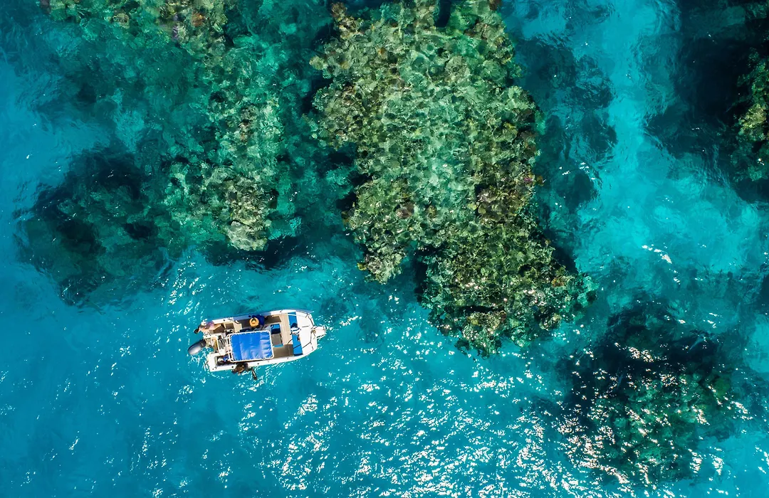 Nukubati Great Sea Reef-1