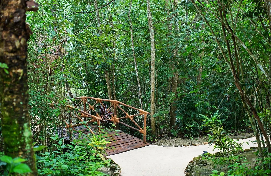 The Explorean Selva Maya Kohunlich-1