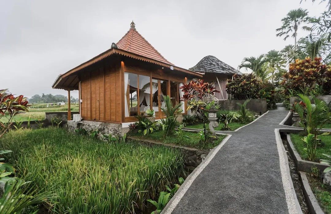 Padi Bali Retreat-1