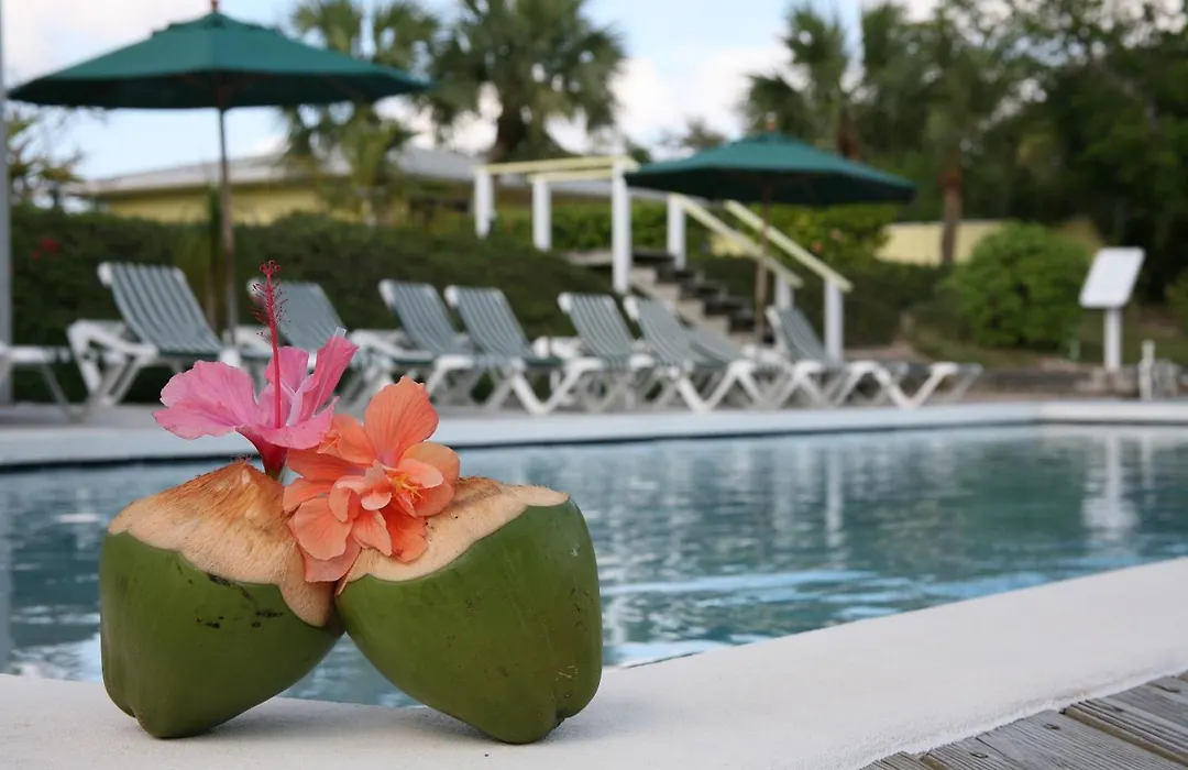 Green Turtle Club Resort & Marina-1