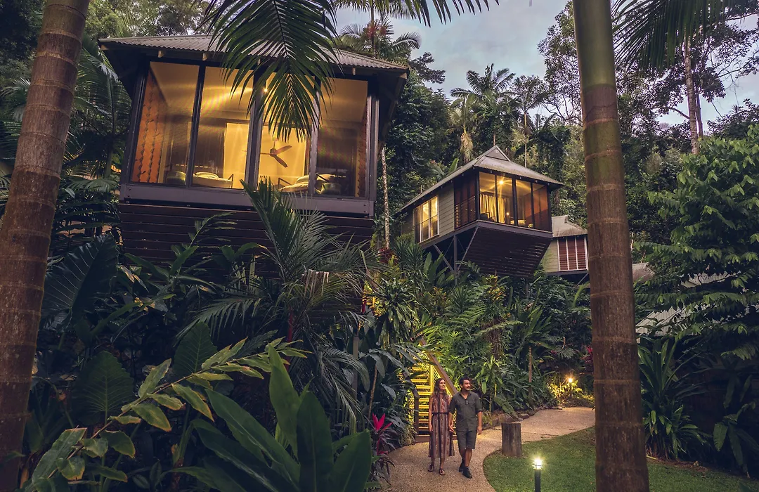 Daintree Ecolodge-1