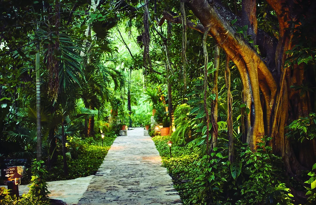 Maroma, A Belmond Hotel, Riviera Maya-1