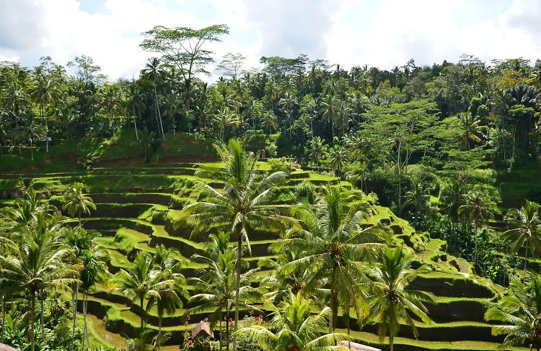 Viceroy Bali-1