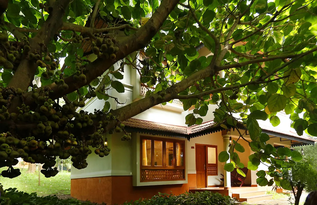Greenwoods Thekkady - A Five Star Classified Resort-1