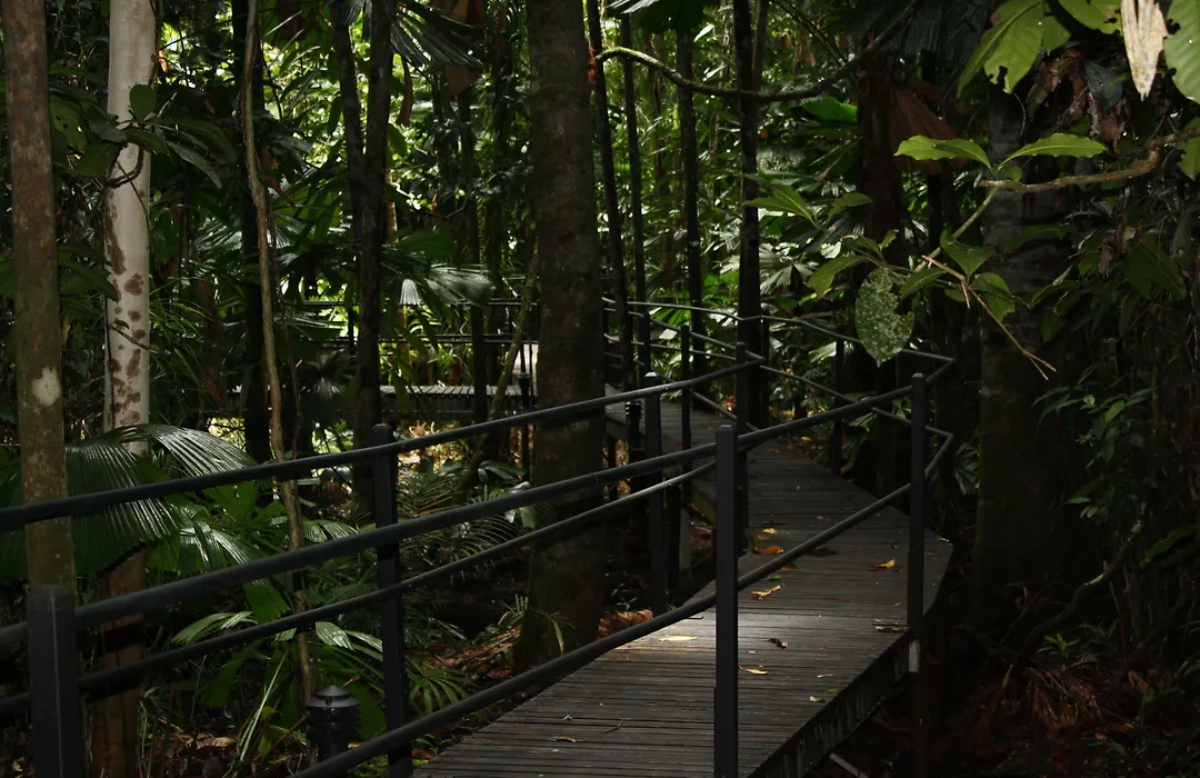 Daintree Wilderness Lodge-1