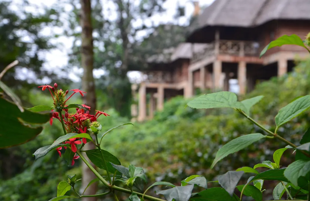 Neptune Ngorongoro Luxury Lodge-1