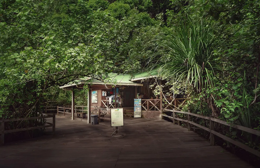 Permai Rainforest Resort-1