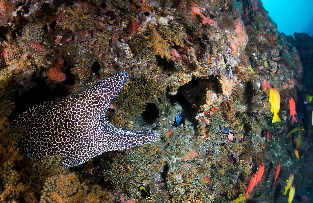 Machangulo Beach Lodge-1