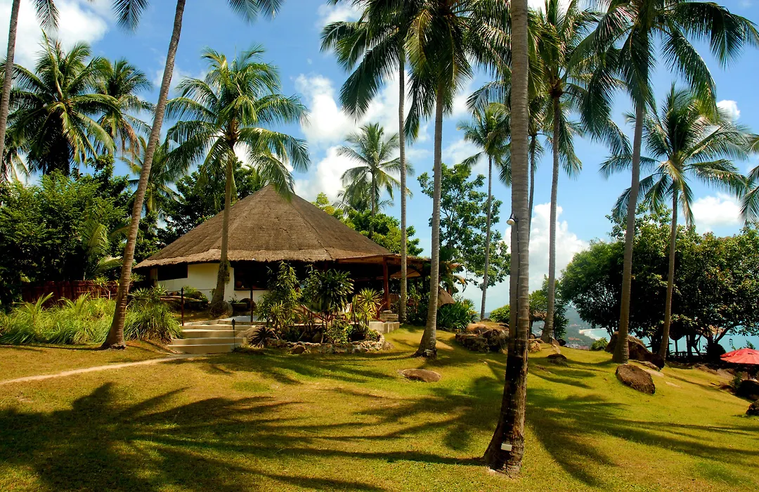 The Jungle Club-1