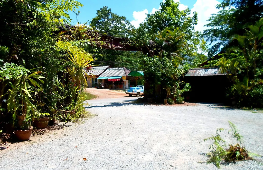 Khao Sok Tree House Resort-1