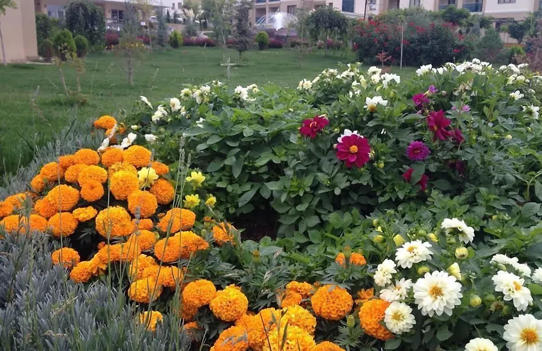 Grand Ozgul Thermal Holiday Village-1