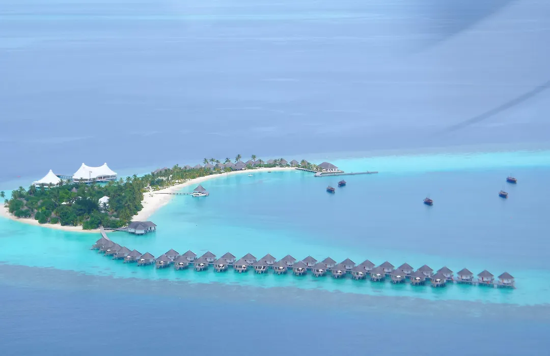 Safari Island-1