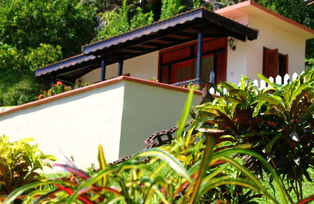 Samfi Gardens-1