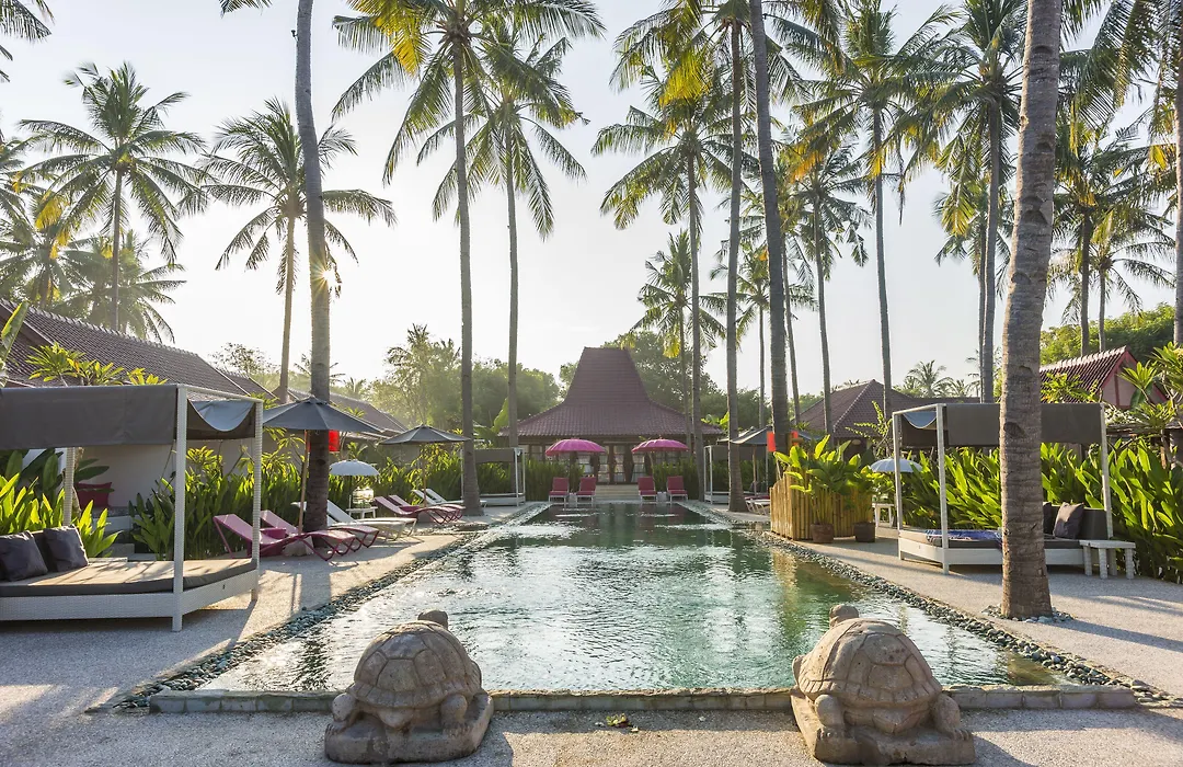 Pinkcoco Gili Air - Constant Surprises & For Cool Adults Only-1