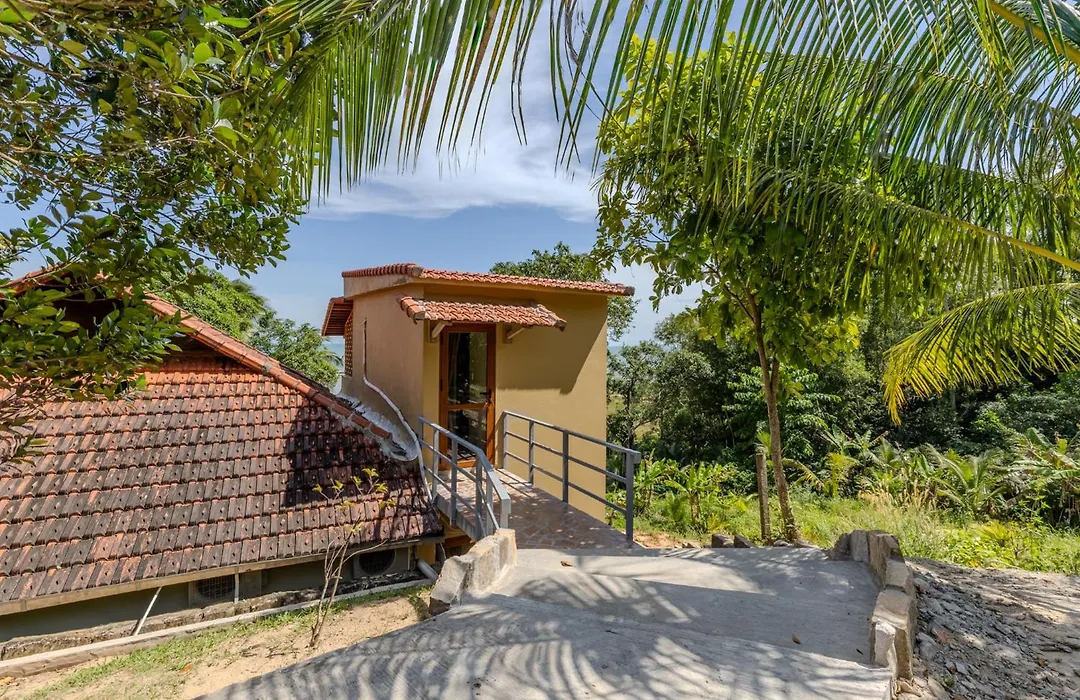 Mango Beach Resort-1