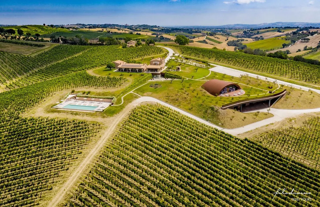 Filodivino Wine Resort&SPA-1