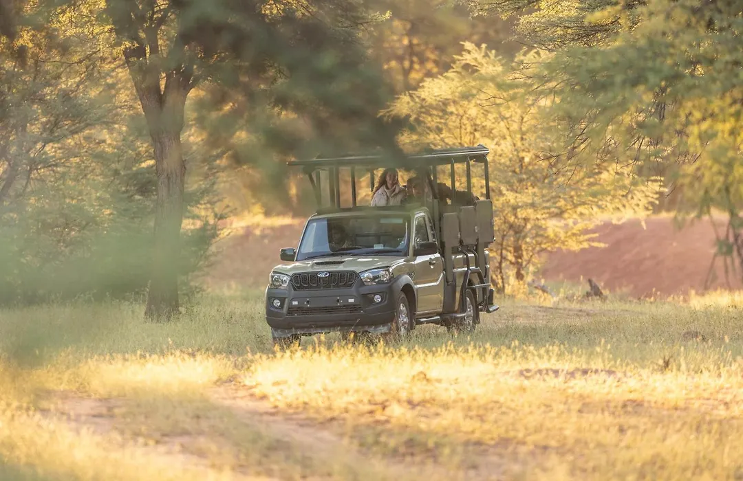 Wabi Private Luxury Game Reserve-1