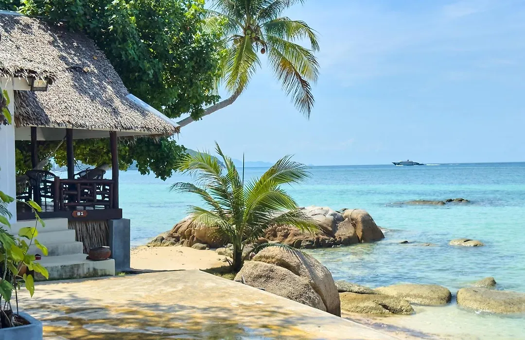 Ocean Vibes Resort-1