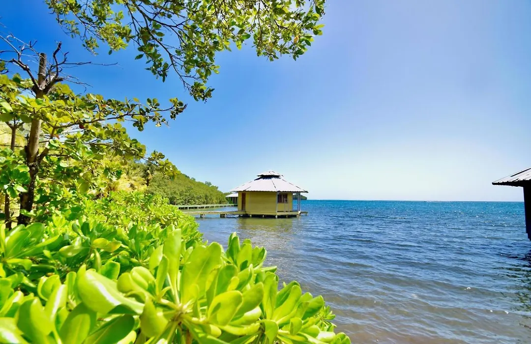 Mango Creek Resort-1