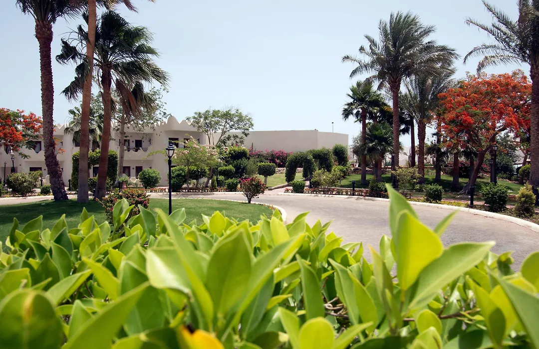 Swiss Inn Resort Dahab-1