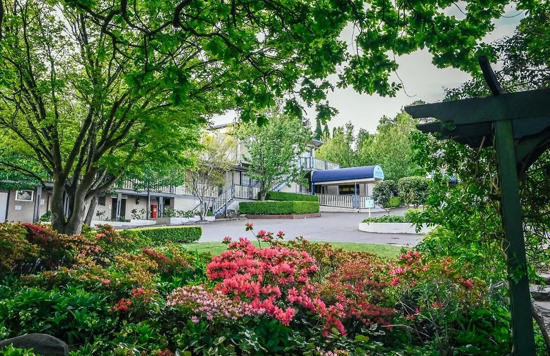 Nesuto Leura Gardens-1
