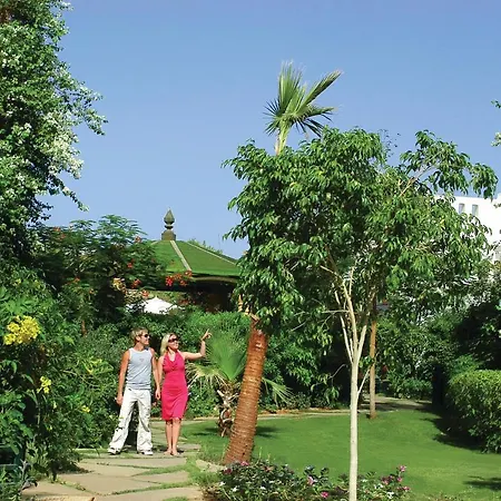 Delta Sharm Resort ,Official Web, Delta Rent, Sharm El Sheikh, South Sinai, Egypt-3