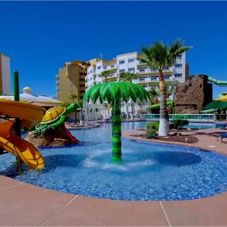 Las palmas-2