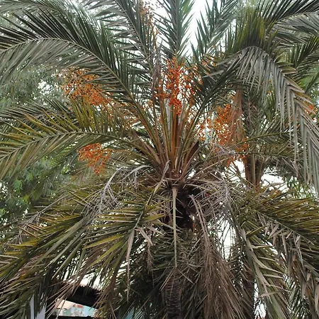 Rainbow Beach Resort-3