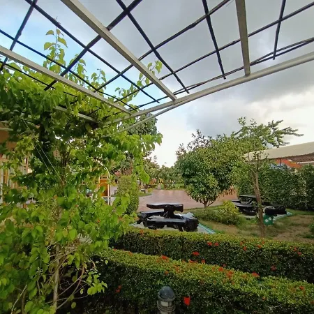 P.Paradise Hotel-2